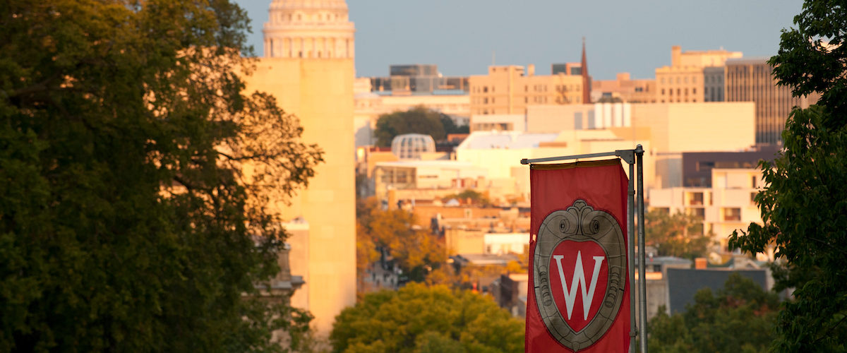 image of capital and UW flag